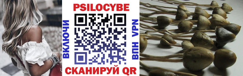 Псилоцибиновые грибы Cubensis  Южно-Сухокумск 